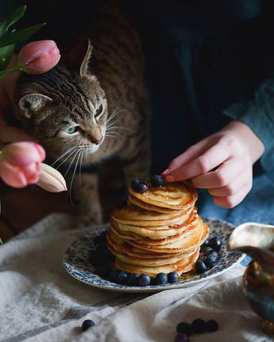 Happy Pancakes Day!